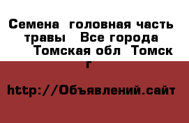 Семена (головная часть))) травы - Все города  »    . Томская обл.,Томск г.